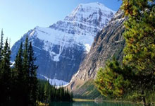 2025年上海高校滑雪邀请赛在沪举行.