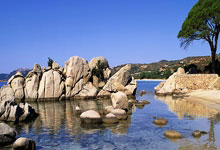 0-3!浙江3胜5负 英博4胜1负 首轮互验成色!刘主任比赵健博强吗.